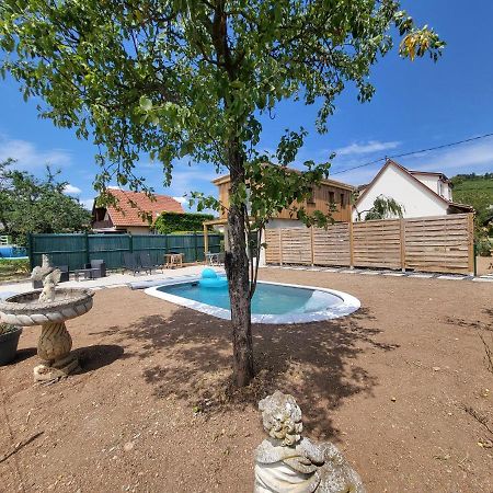 Au Coeur Des Vignes Apartment Bergheim Ngoại thất bức ảnh