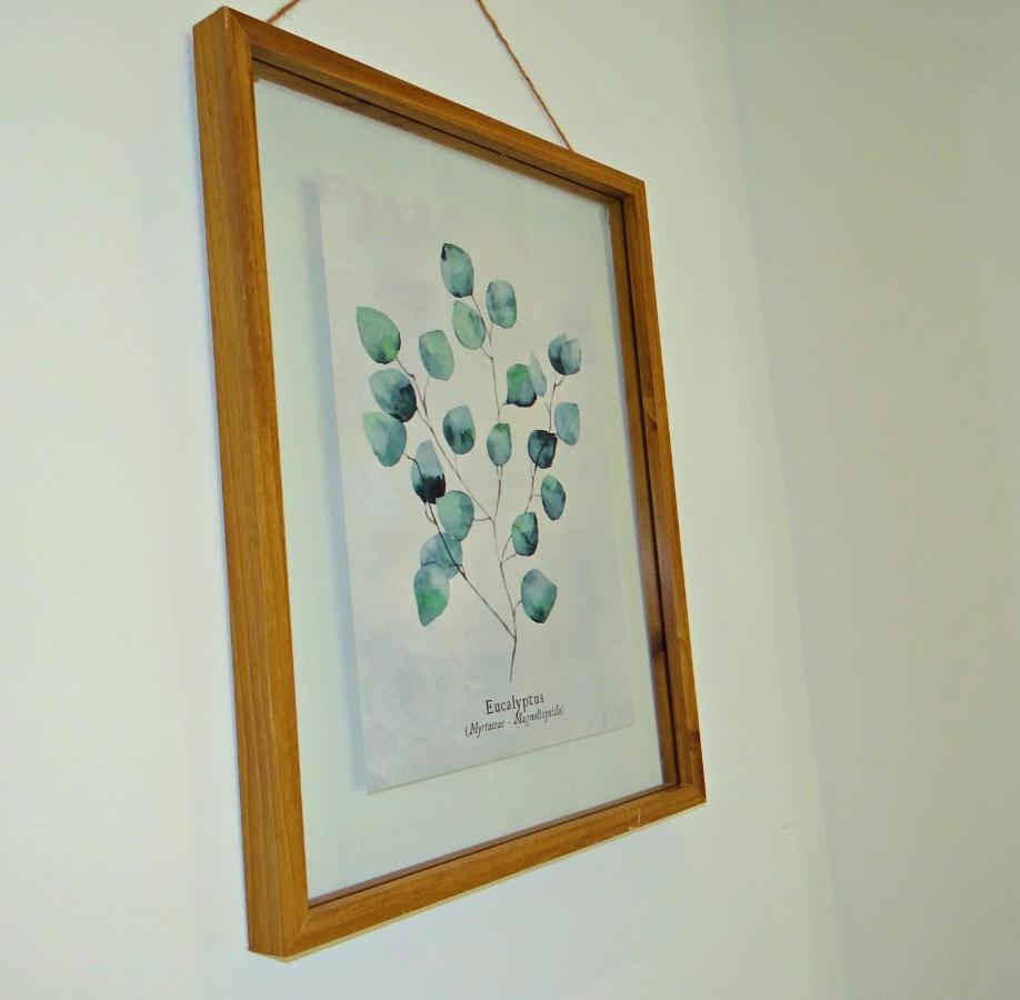 Au Coeur Des Vignes Apartment Bergheim Ngoại thất bức ảnh