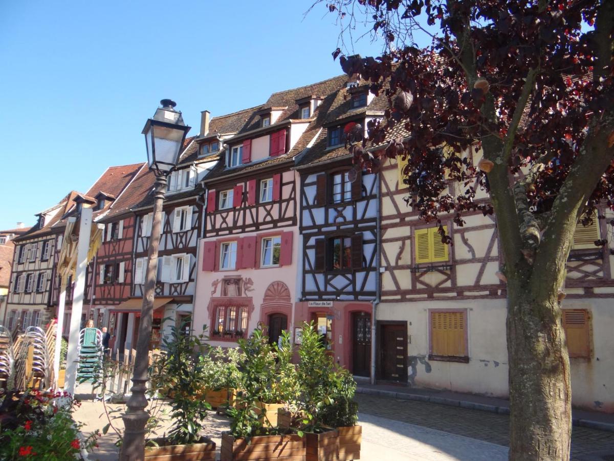 Au Coeur Des Vignes Apartment Bergheim Ngoại thất bức ảnh
