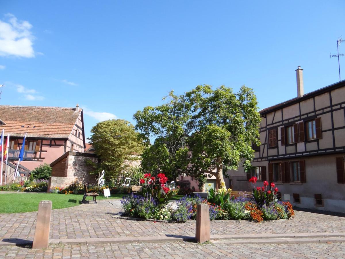 Au Coeur Des Vignes Apartment Bergheim Ngoại thất bức ảnh