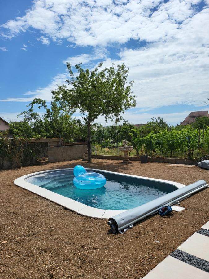 Au Coeur Des Vignes Apartment Bergheim Ngoại thất bức ảnh